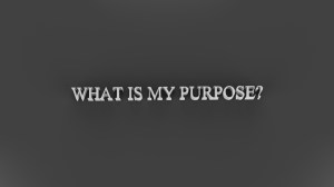 purpose